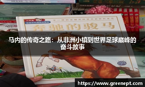 zoty中欧